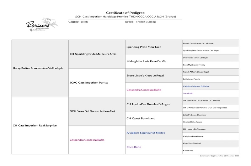 pedigree_Cass’Imperium HaloRidge Promise_2023-12-28